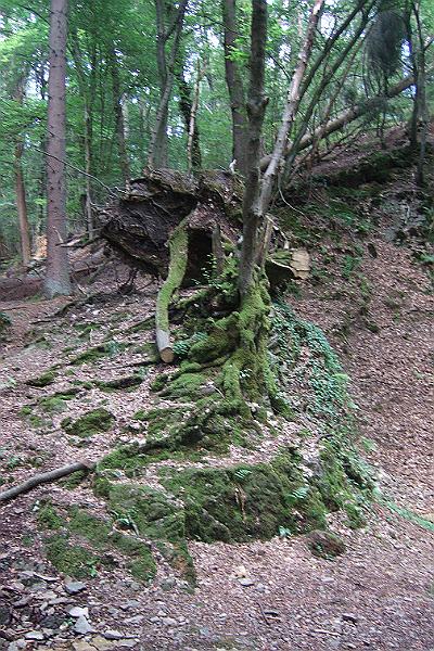 2010-07- (19).JPG - Wer mag denn da wohnen?